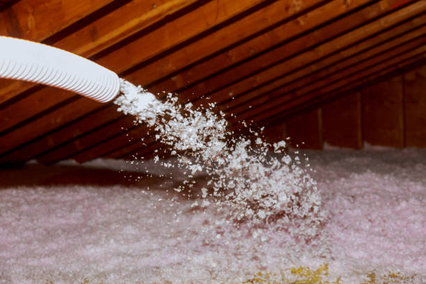 Best Energy Efficiency Insulation in Elk Grove, CA